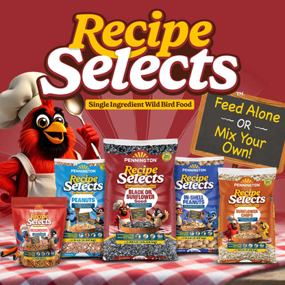 Recipe Selects Dried Mealworms for Birds, Bluebird and Wild Bird Food for outside Feeder, 2 Lb. Bag, 1 Pack