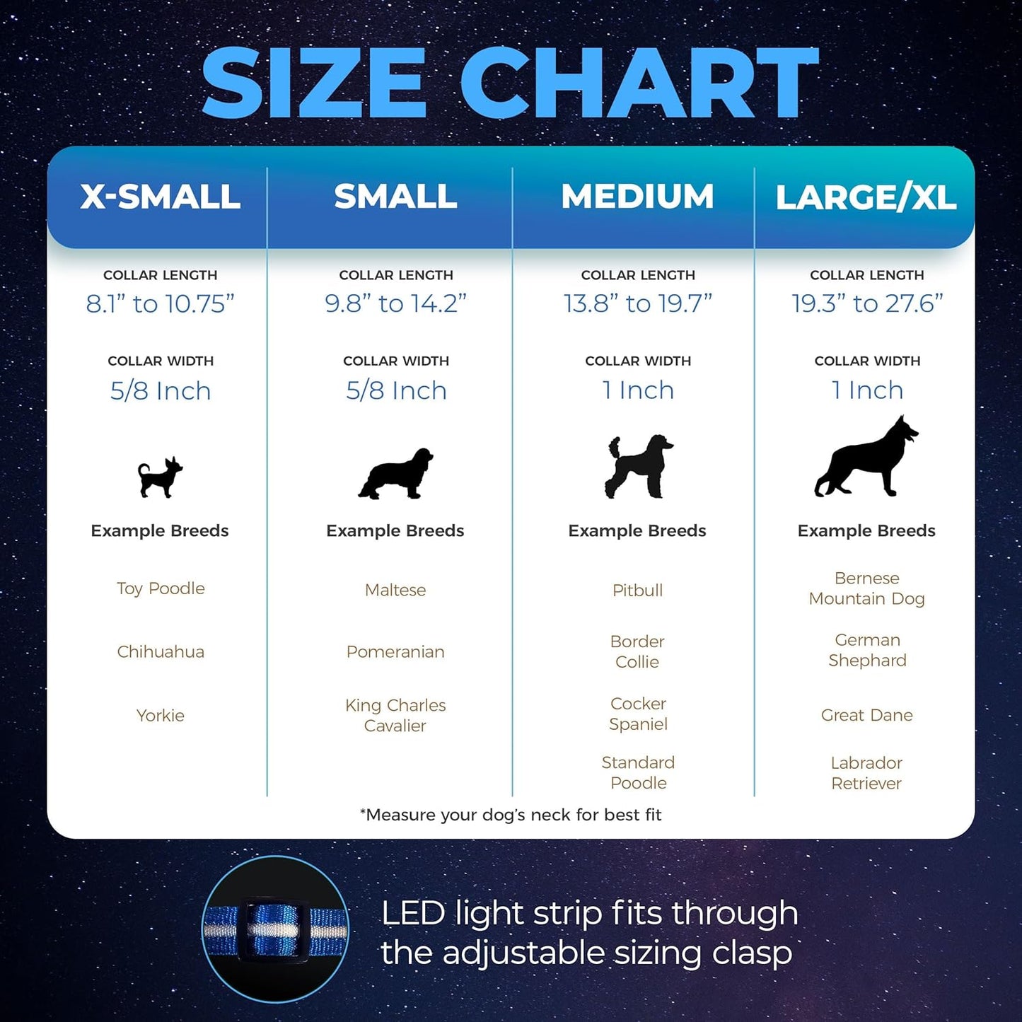 Light up Dog Collar - the Original LED Dog Collar - USB Rechargeable - Waterproof - 1,000 Feet of Visibility - Dog Collar Light for Small, Medium, Large Dogs - US Brand