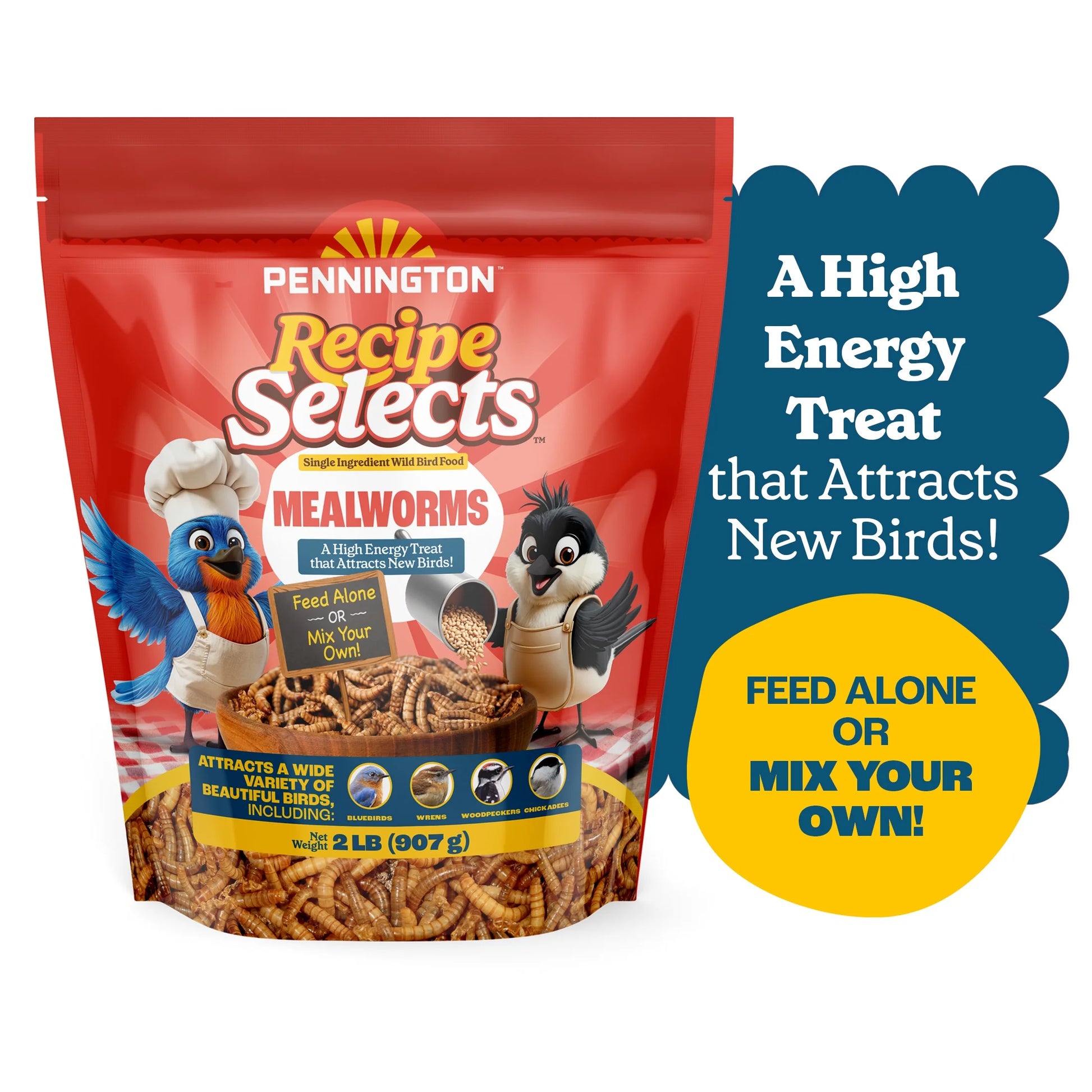 Recipe Selects Dried Mealworms for Birds, Bluebird and Wild Bird Food for outside Feeder, 2 Lb. Bag, 1 Pack