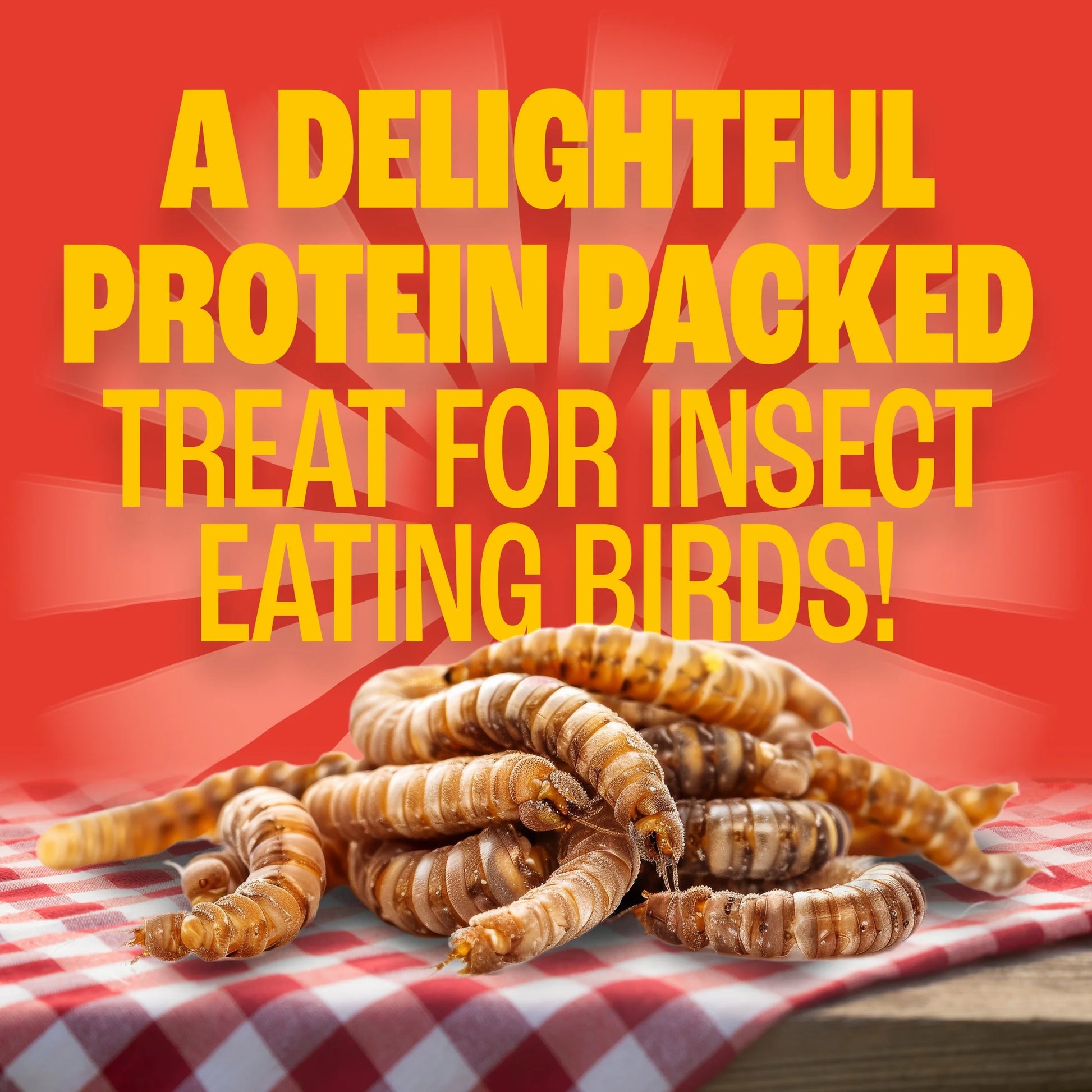 Recipe Selects Dried Mealworms for Birds, Bluebird and Wild Bird Food for outside Feeder, 2 Lb. Bag, 1 Pack