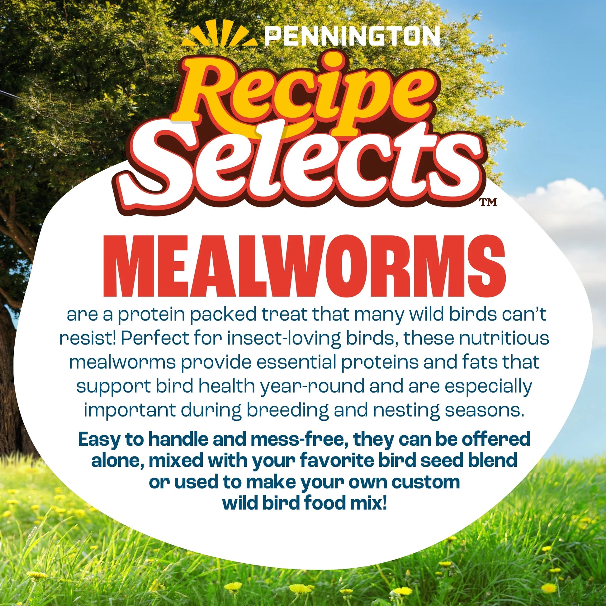 Recipe Selects Dried Mealworms for Birds, Bluebird and Wild Bird Food for outside Feeder, 2 Lb. Bag, 1 Pack